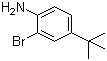 2-溴-4-叔丁基苯胺                           